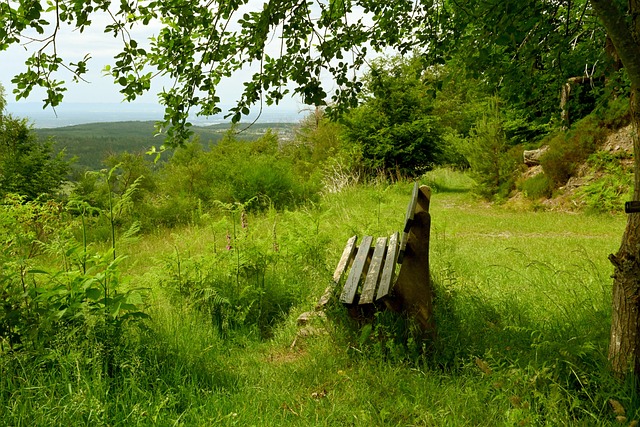 利的锋线进 利的锋线进