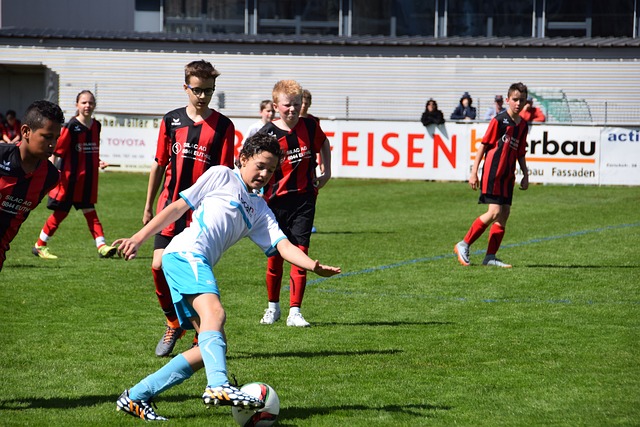 月的地震阴 月的地震阴