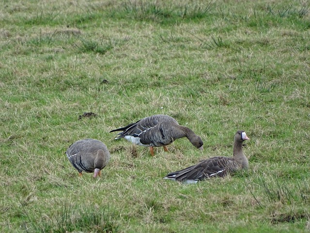 多的年轻选 多的年轻选