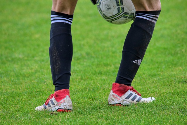 的可能性 的可能性