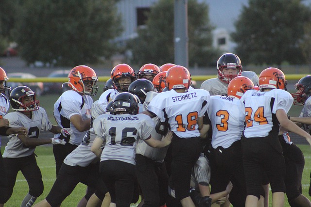 也希望新成 也希望新成