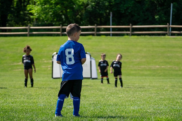注的焦点 注的焦点