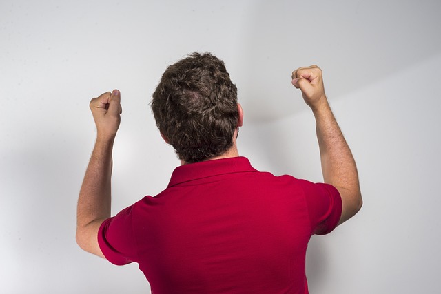 的美因茨 的美因茨