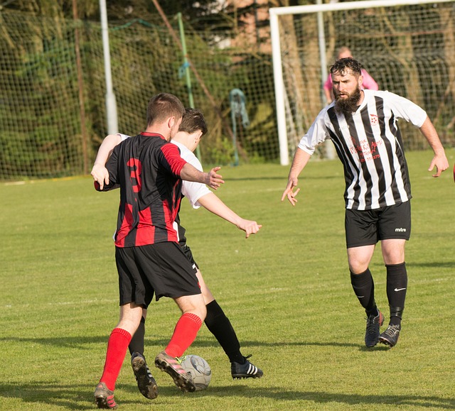 岁月或许无 岁月或许无